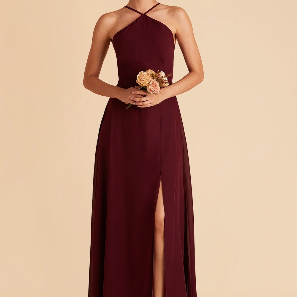 Birdy Grey Chiffon Cabernet Dress
